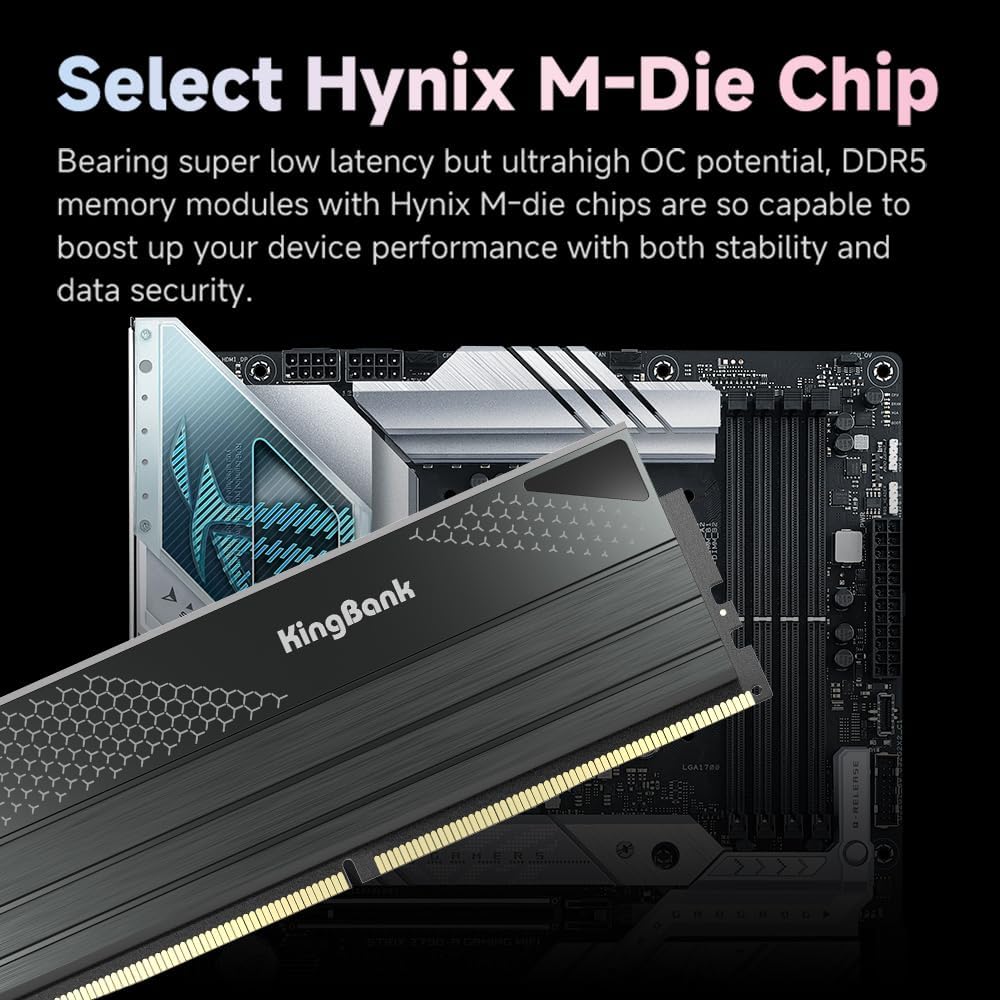 KingBank DDR5 KFXB Memory 48GB - đánh giá và giá Ddr5 64Gb